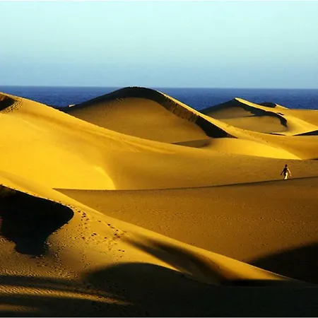 Bonito 106 By Casas Cocodrilo Apartment